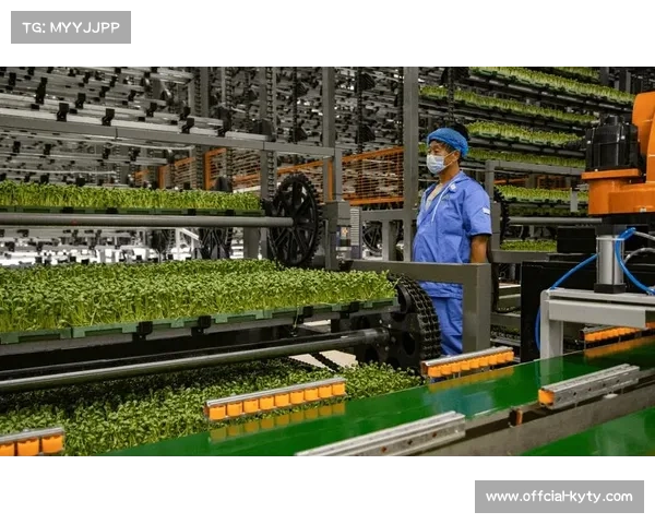 科技助力射箭训练精准数据统计与效果评估的创新应用